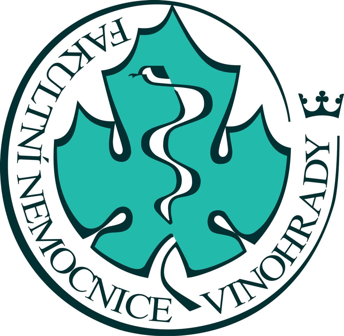 logo_fnkv-min
